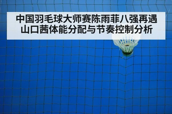 badminton net shot